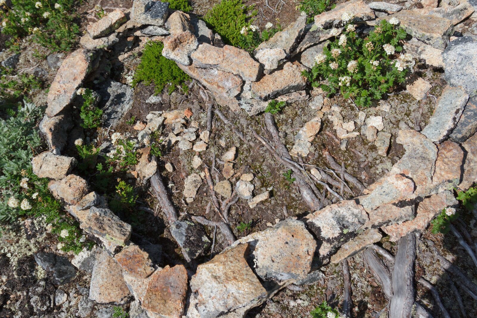 Canon EOS 7D + Canon EF 24-105mm F4L IS USM sample photo. Heart, stone, nature photography