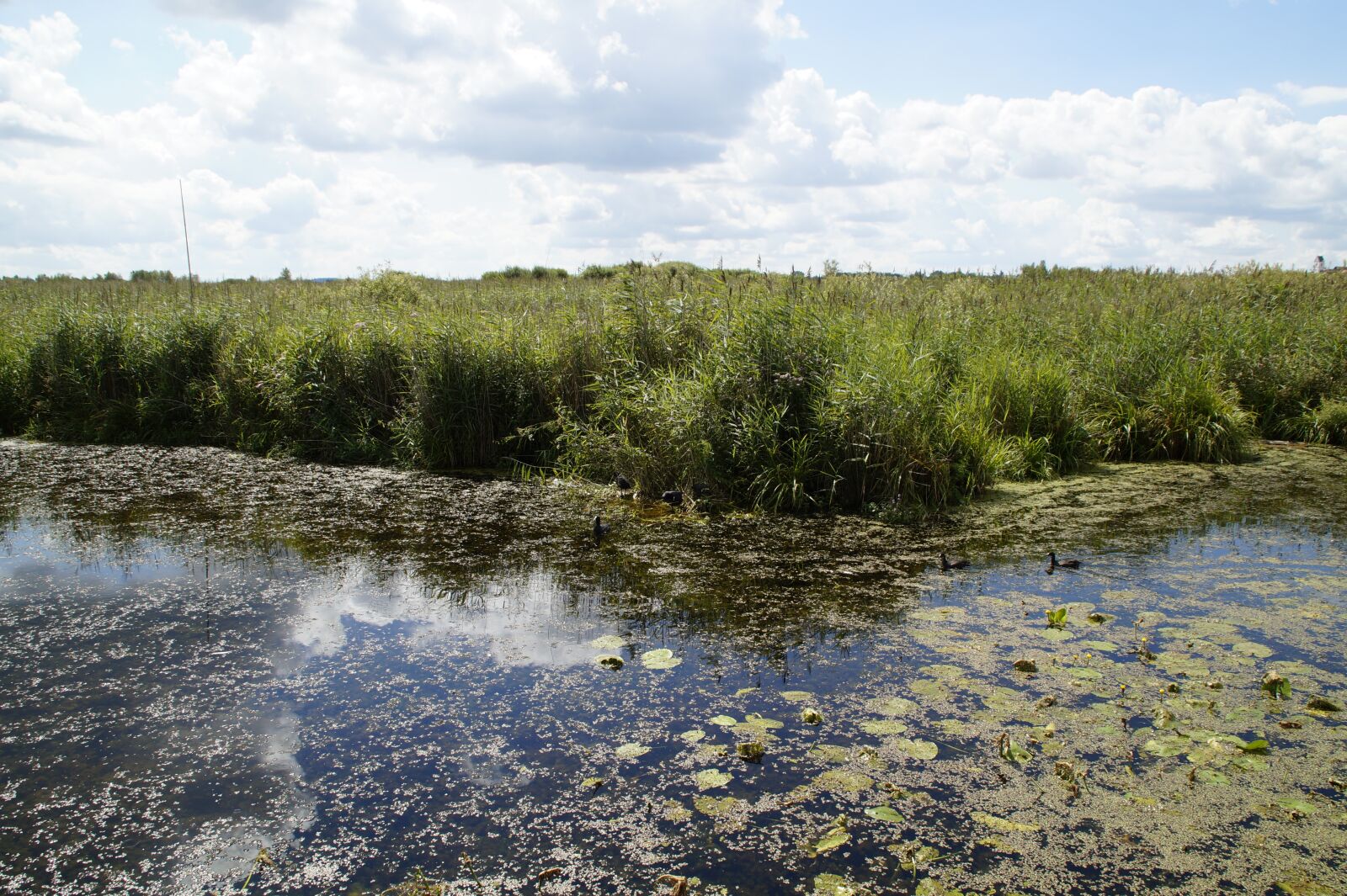 Sony SLT-A58 sample photo. Landscape, spring lake, nature photography