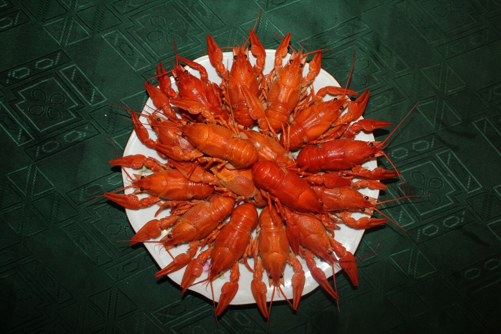 Canon EOS 550D (EOS Rebel T2i / EOS Kiss X4) sample photo. Crayfish, boiled crawfish, red photography