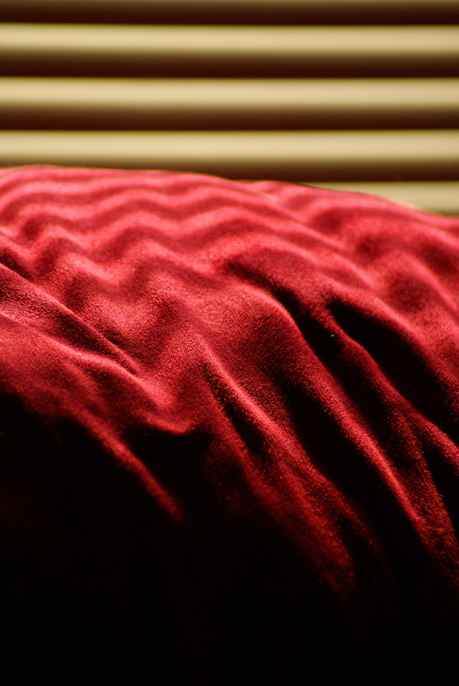 Sony Alpha DSLR-A100 sample photo. Red, texture, shadows photography