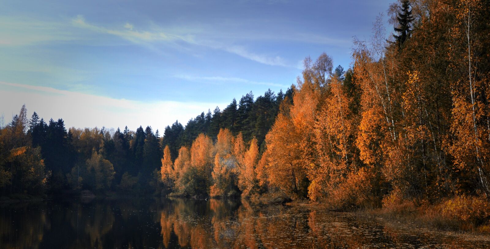 Nikon D90 sample photo. Autumn, pond, nature photography
