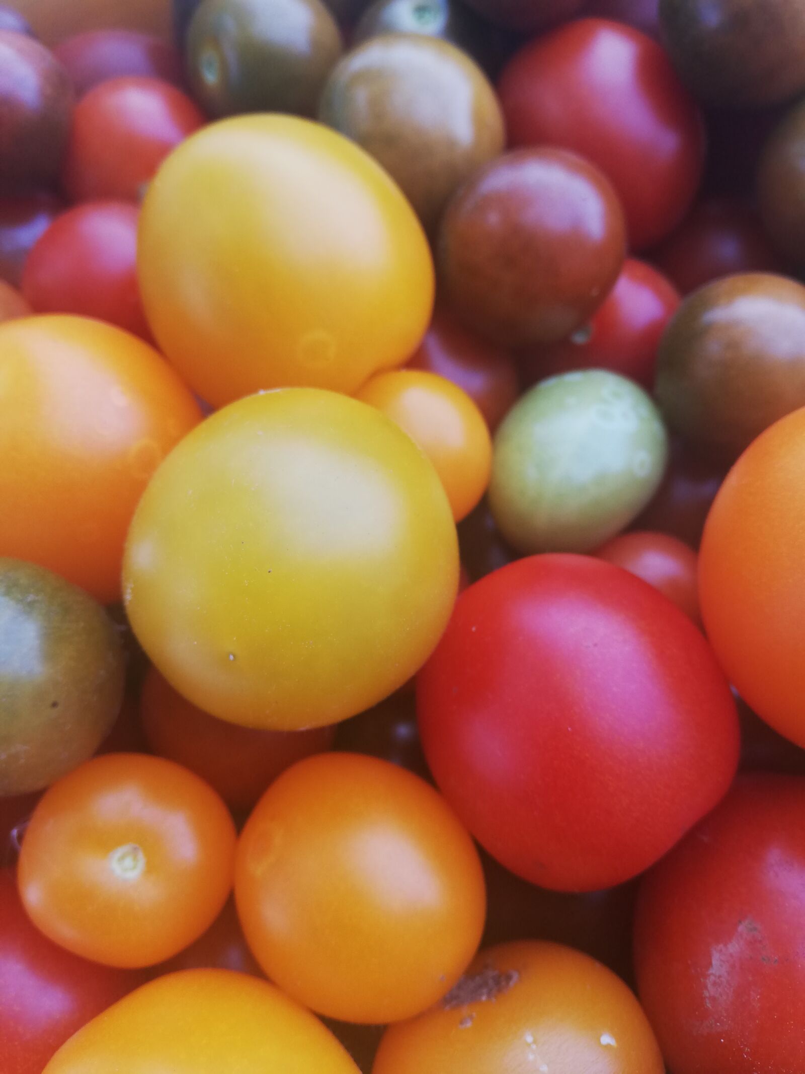 HUAWEI ANE-LX1 sample photo. Tomatoes, red, yellow photography