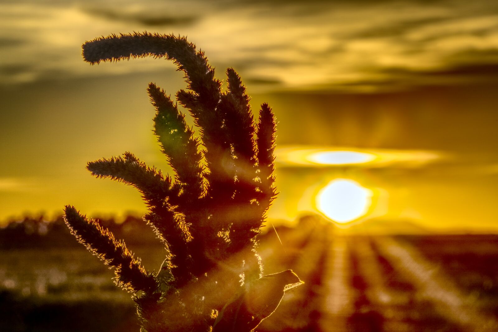 Sony a6000 sample photo. Sunset, mood, dusk photography