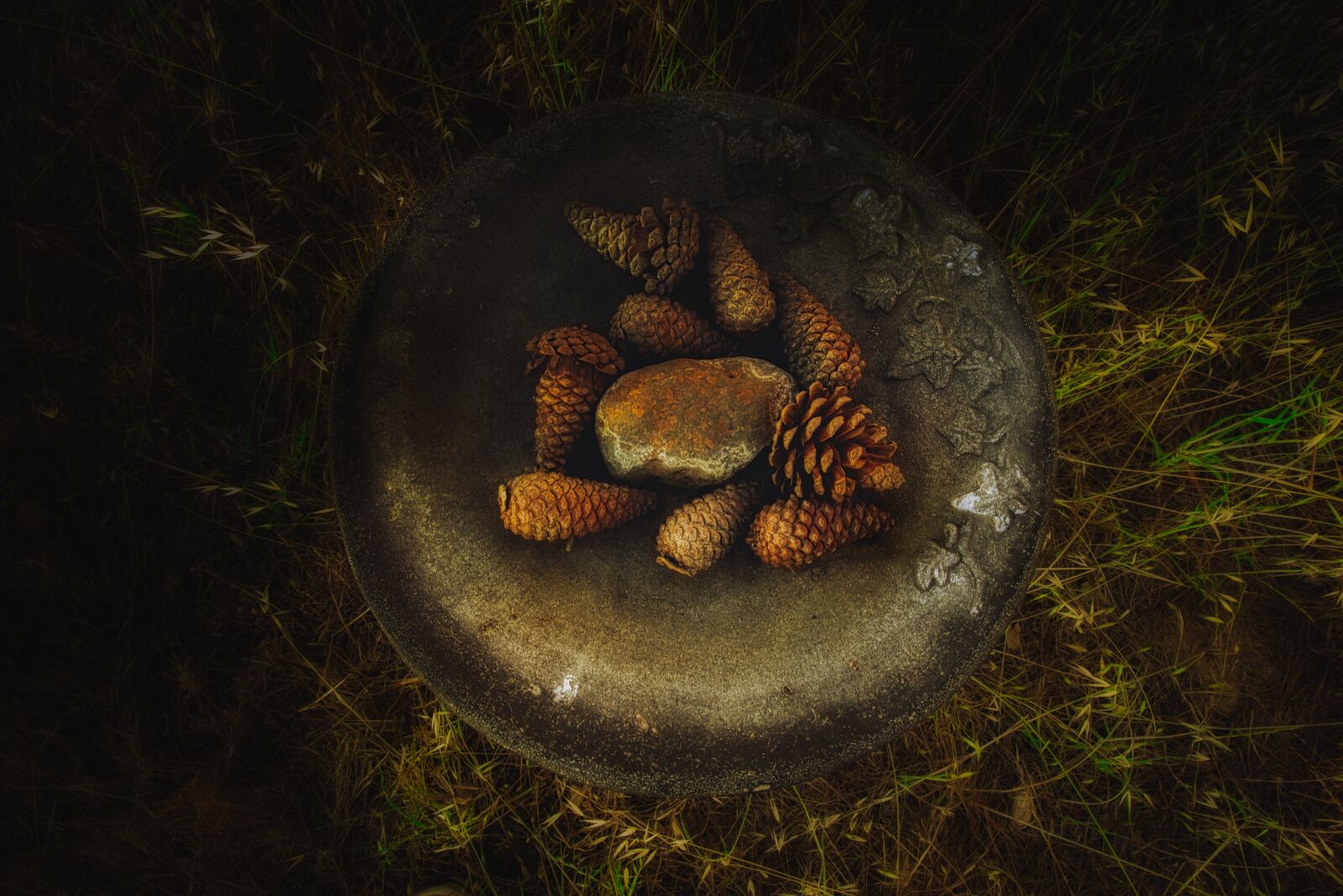 Canon EF 24-105mm F4L IS USM sample photo. Abstract, pine cones, nature photography