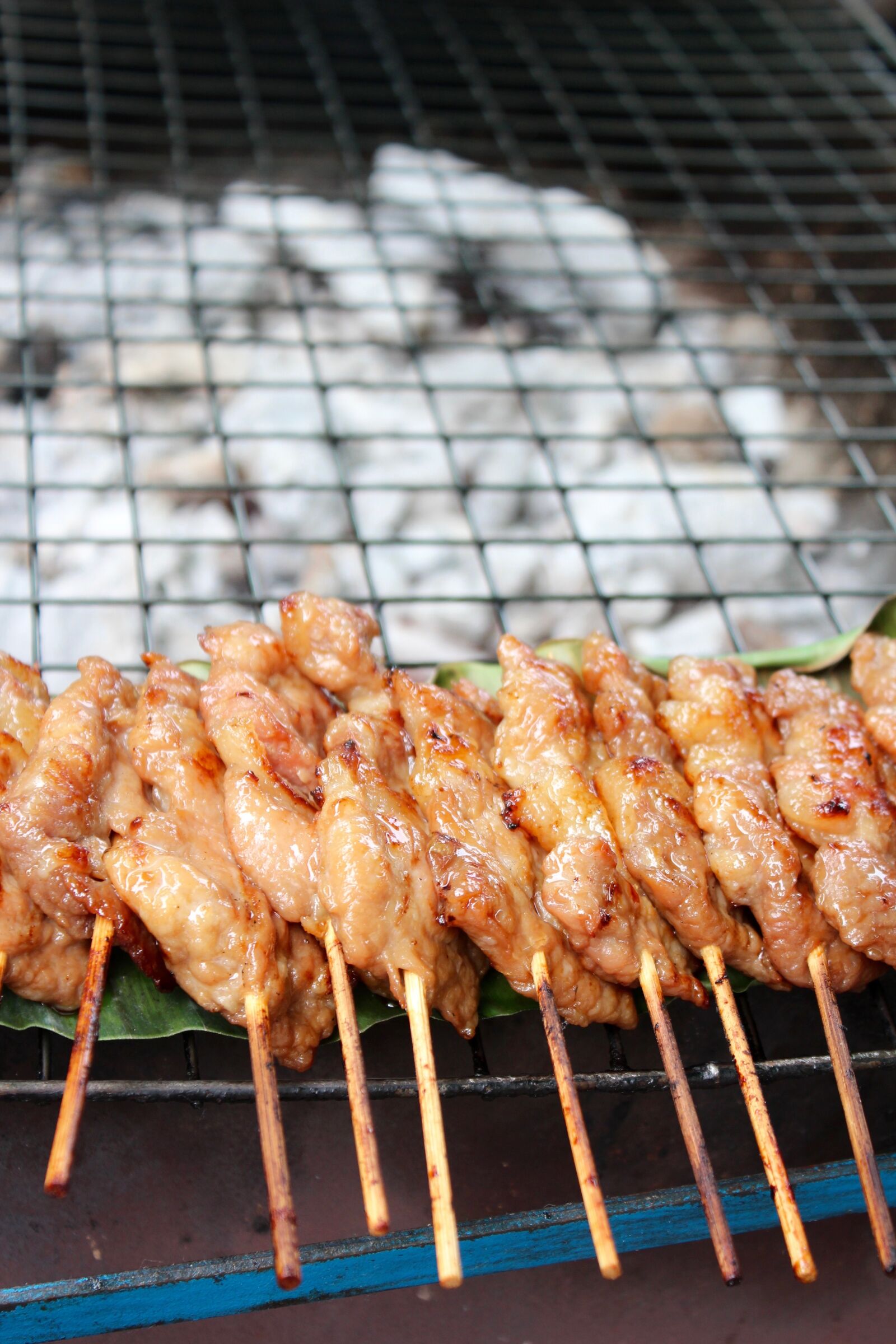 Canon EOS 600D (Rebel EOS T3i / EOS Kiss X5) sample photo. Barbecue, eat, meat photography
