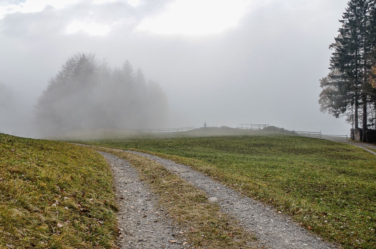 Nikon D7000 sample photo. Fog, landscape, trees photography