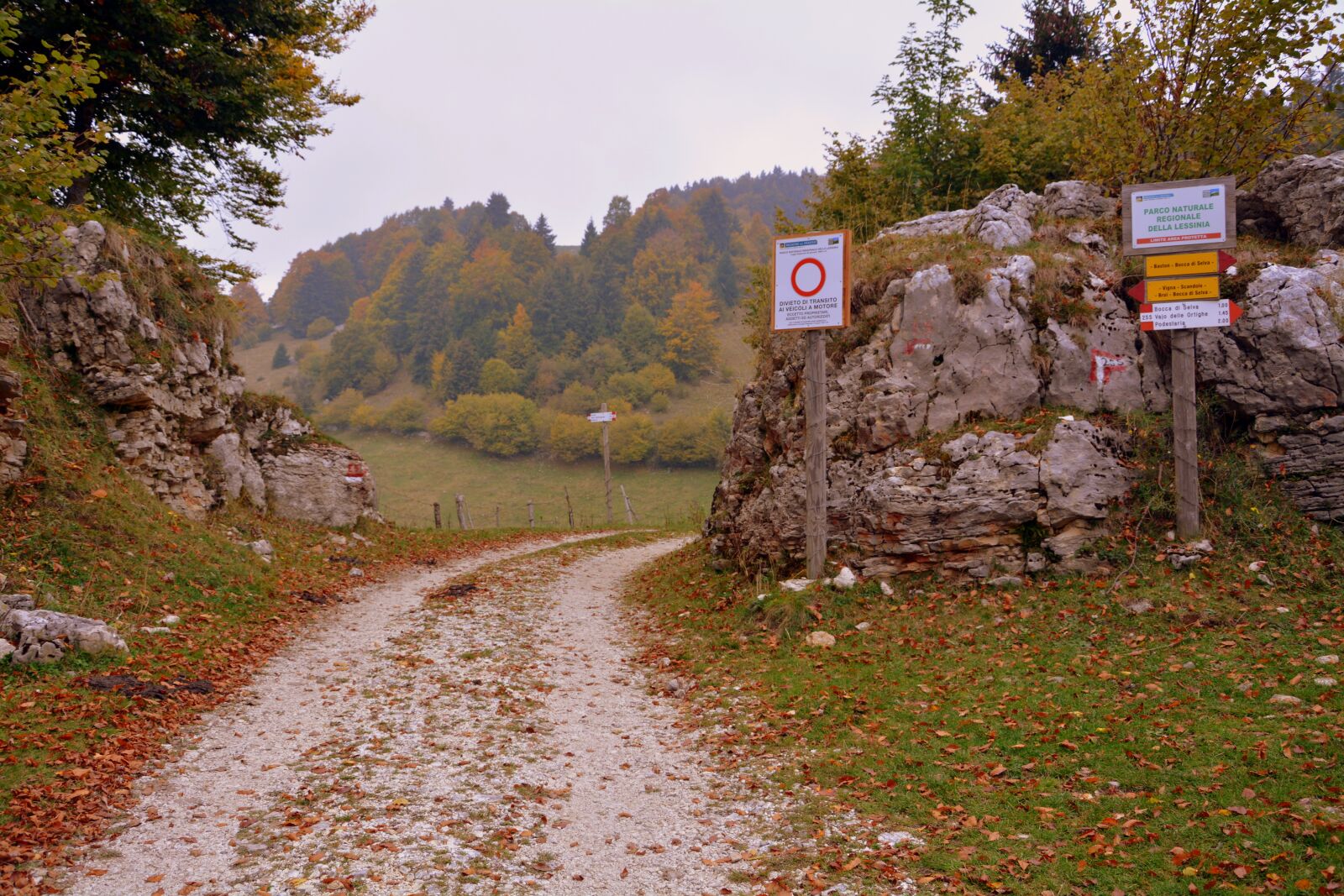 Nikon D7100 sample photo. Trail, crossroads, road photography