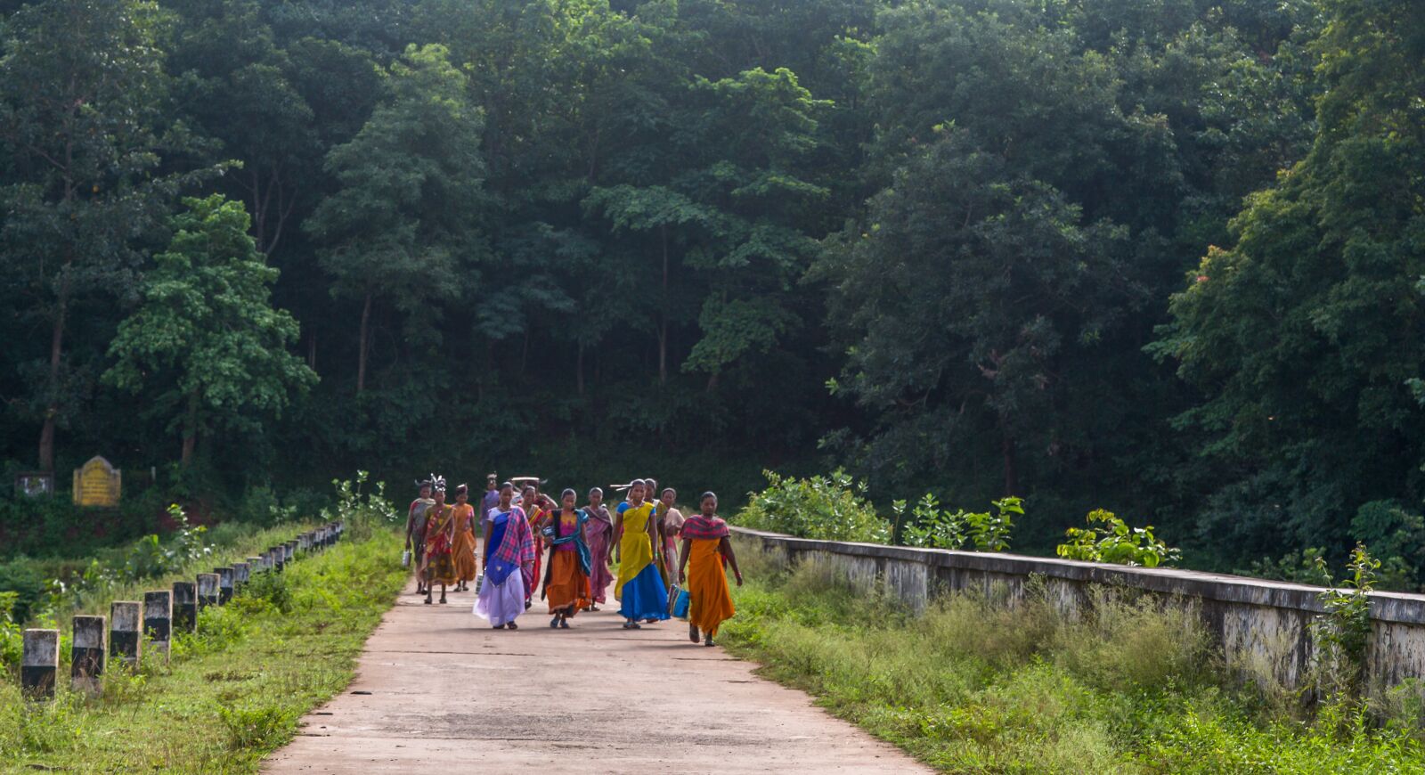 Canon EF 24-105mm F4L IS USM sample photo. India, andhra pradesh, greenary photography