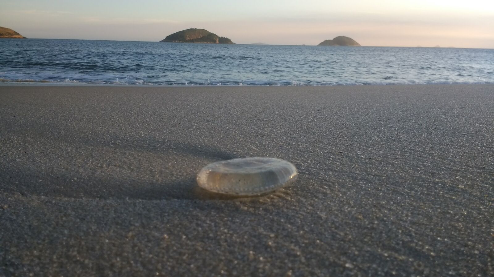 Motorola Moto G (4) sample photo. Jellyfish, mar, beach photography