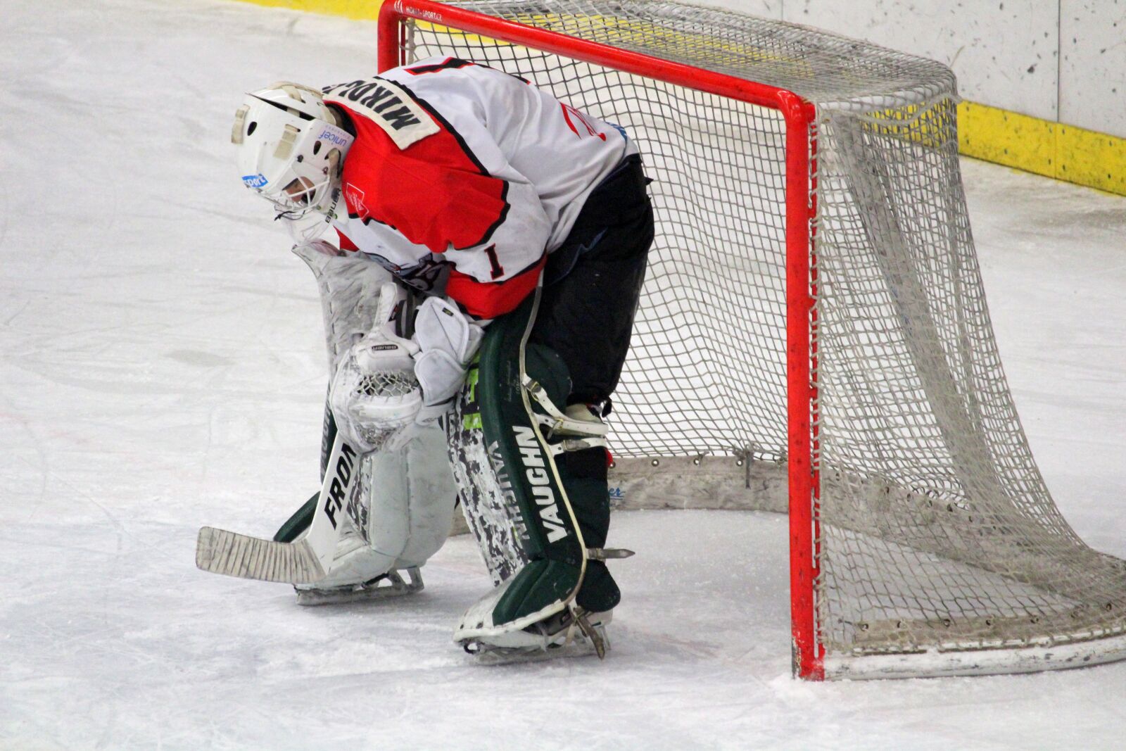 Canon EF-S 55-250mm F4-5.6 IS STM sample photo. Hockey, goalkeeper, 1 photography