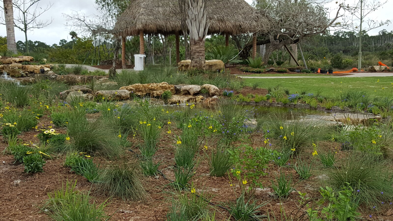 Samsung GALAXY S6 edge sample photo. Botanical, gardens photography