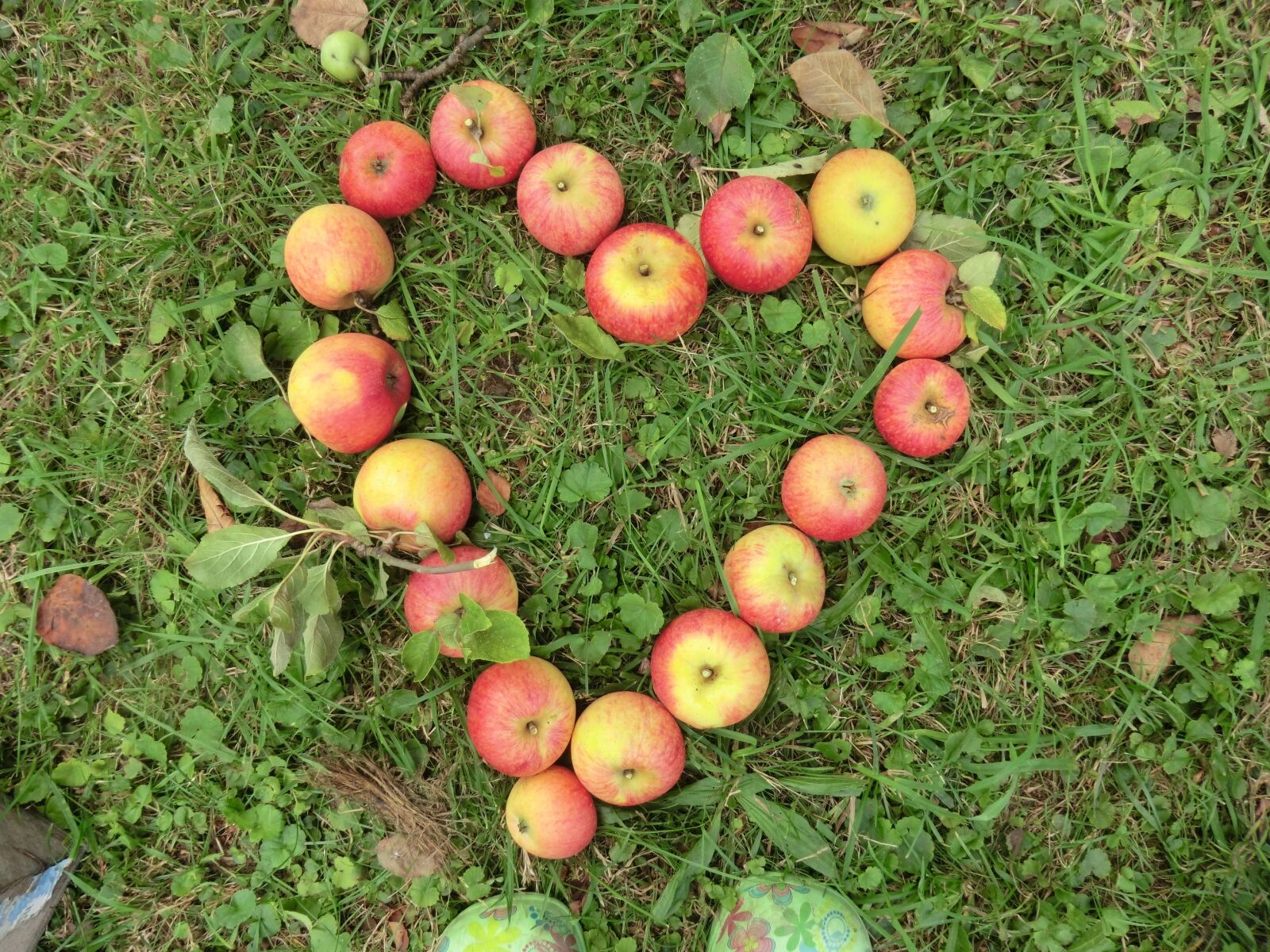 CASIO EX-H20G sample photo. Apple, heart, grass photography