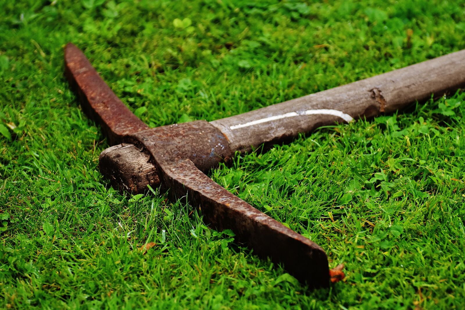 Nikon D7200 sample photo. Pimples, gardening equipment, gardening photography