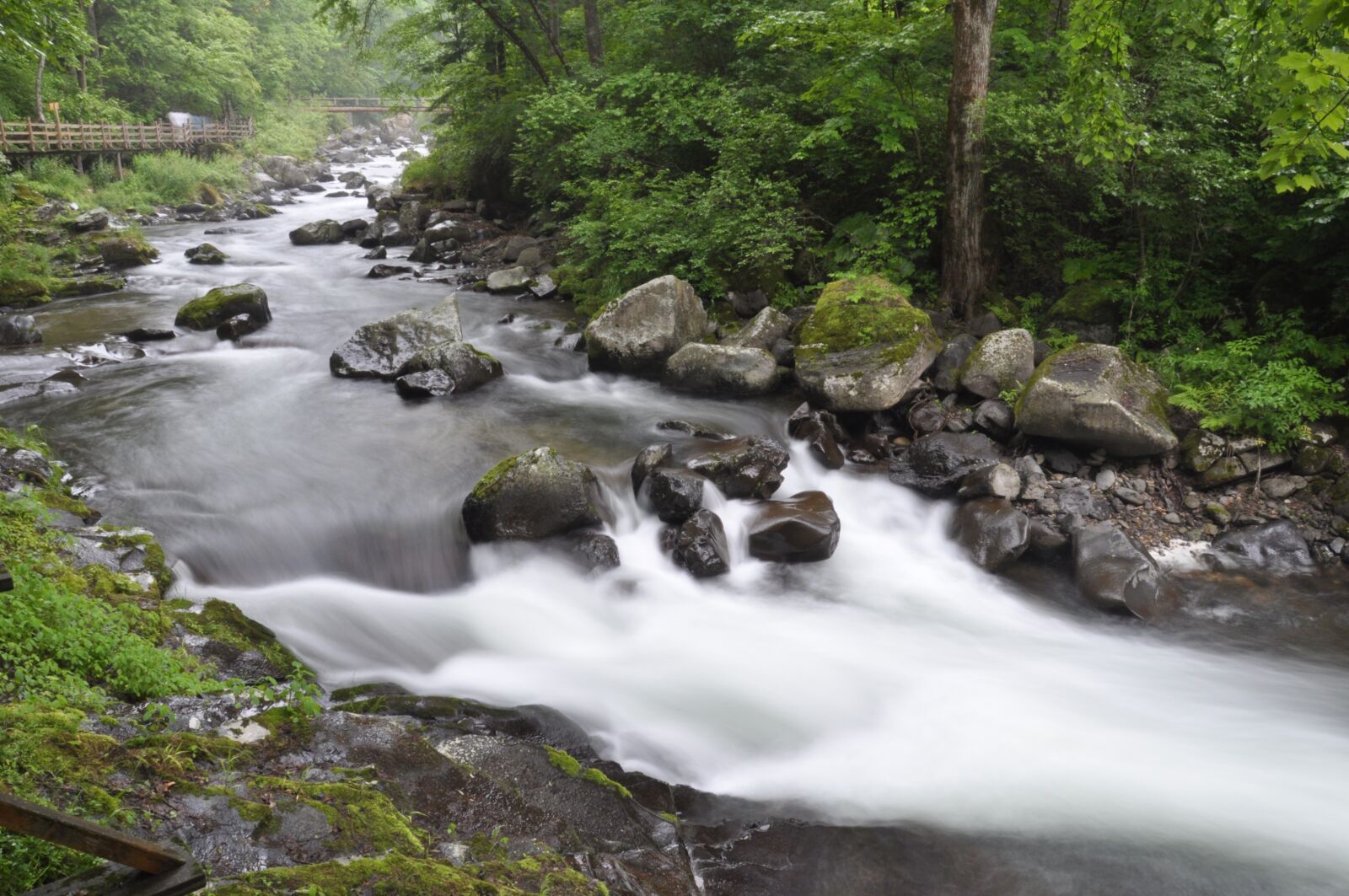 Nikon D5000 sample photo. Waters, flow, river photography