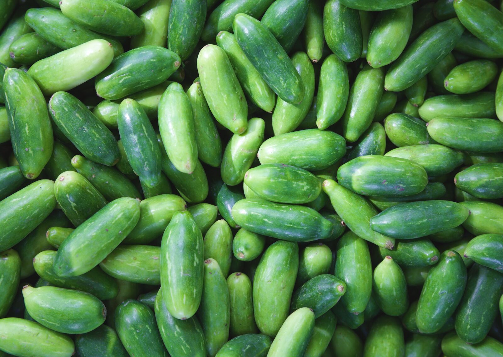 Canon EOS 6D + Canon EF 24-105mm F4L IS USM sample photo. Eat, food, cucumber photography