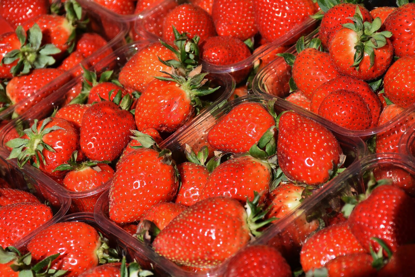 Nikon D7200 sample photo. Strawberries, fruit, red photography