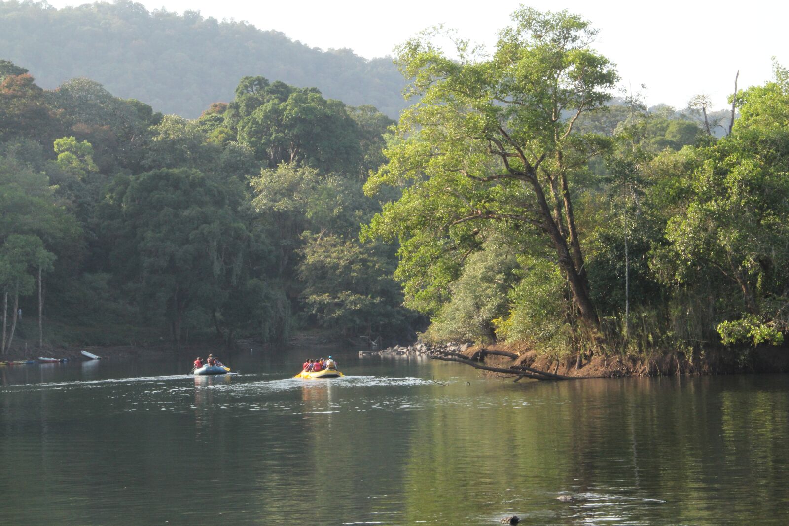 Canon EOS 60D sample photo. Dandeli, kayaking, greenery photography