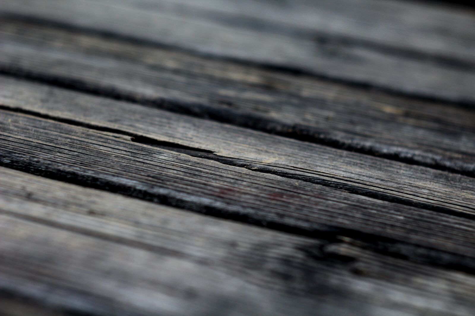 Canon EOS 1200D (EOS Rebel T5 / EOS Kiss X70 / EOS Hi) sample photo. Boards, the structure of photography