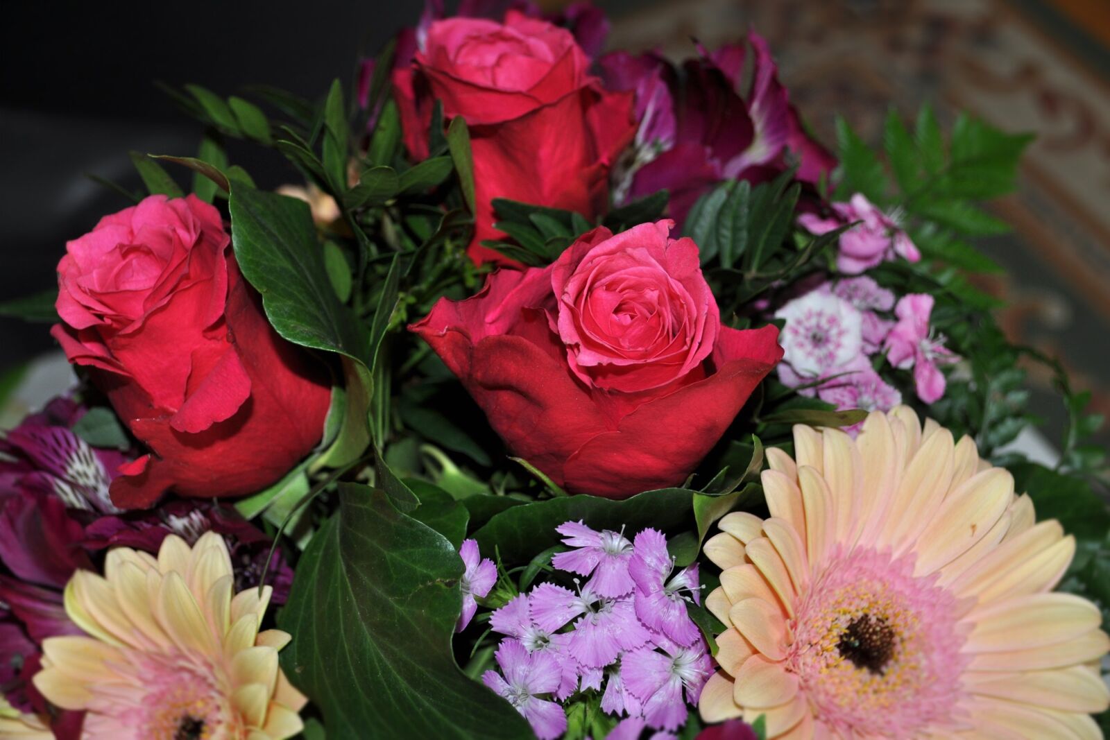 Nikon D5000 sample photo. Flower, plant, rose photography
