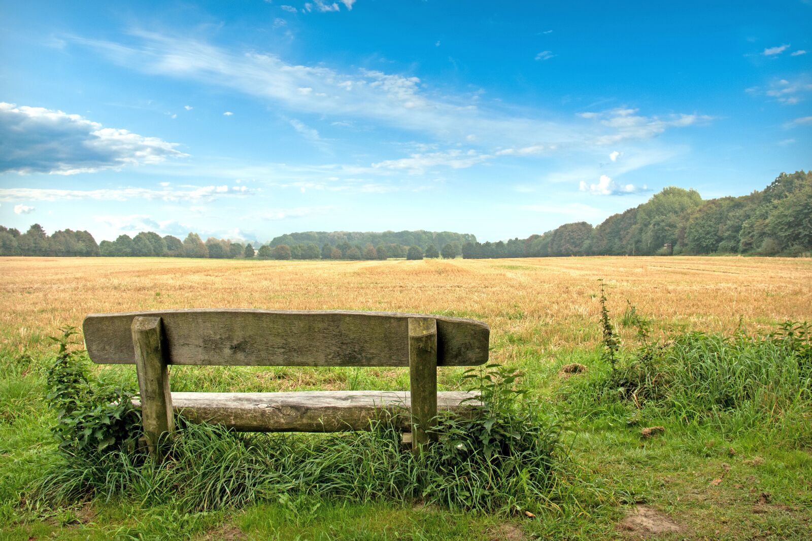 Canon EOS 70D sample photo. Bank, meadow, park photography