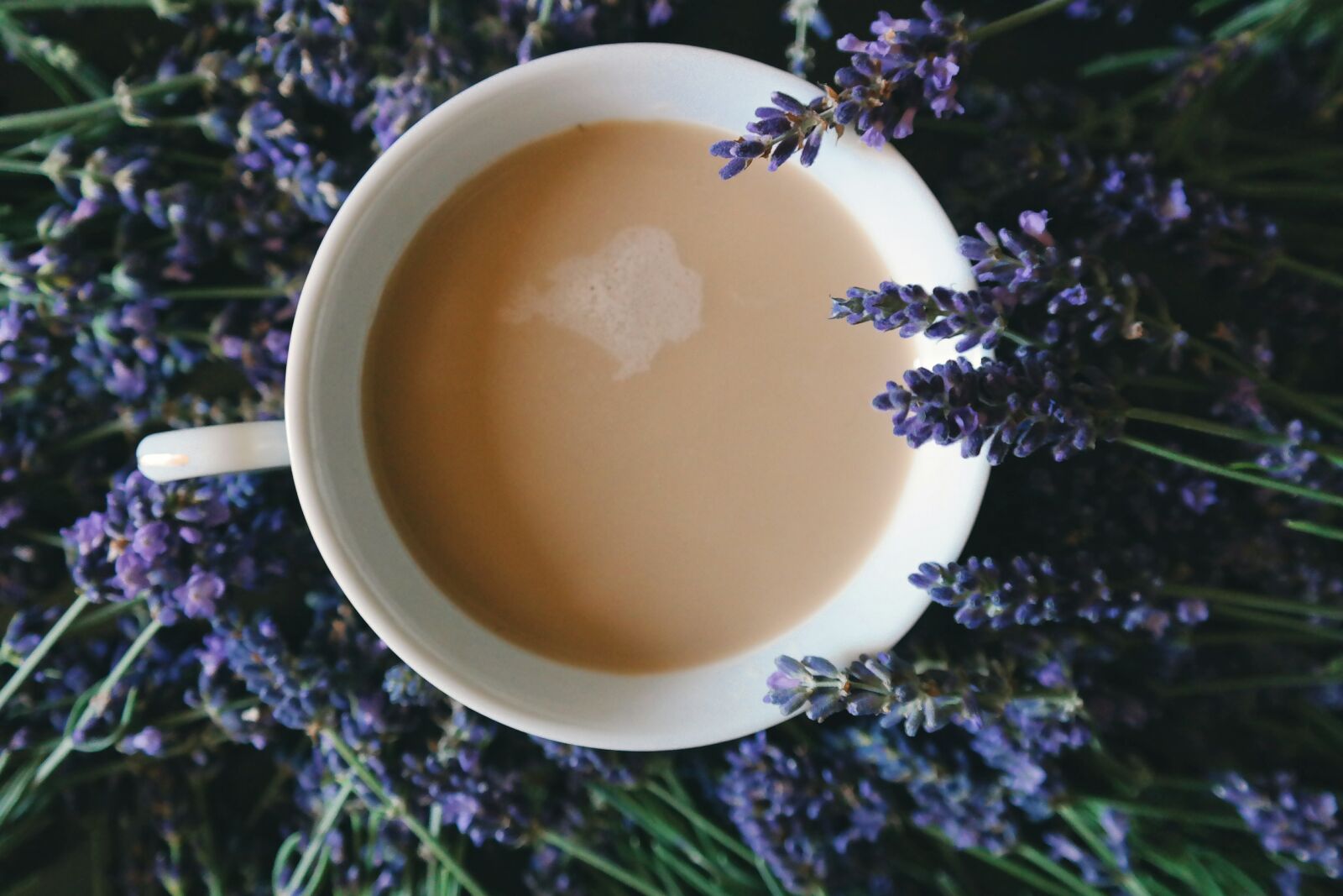 Samsung NX300 sample photo. Aromatherapy, aromatic, caffeine, close photography