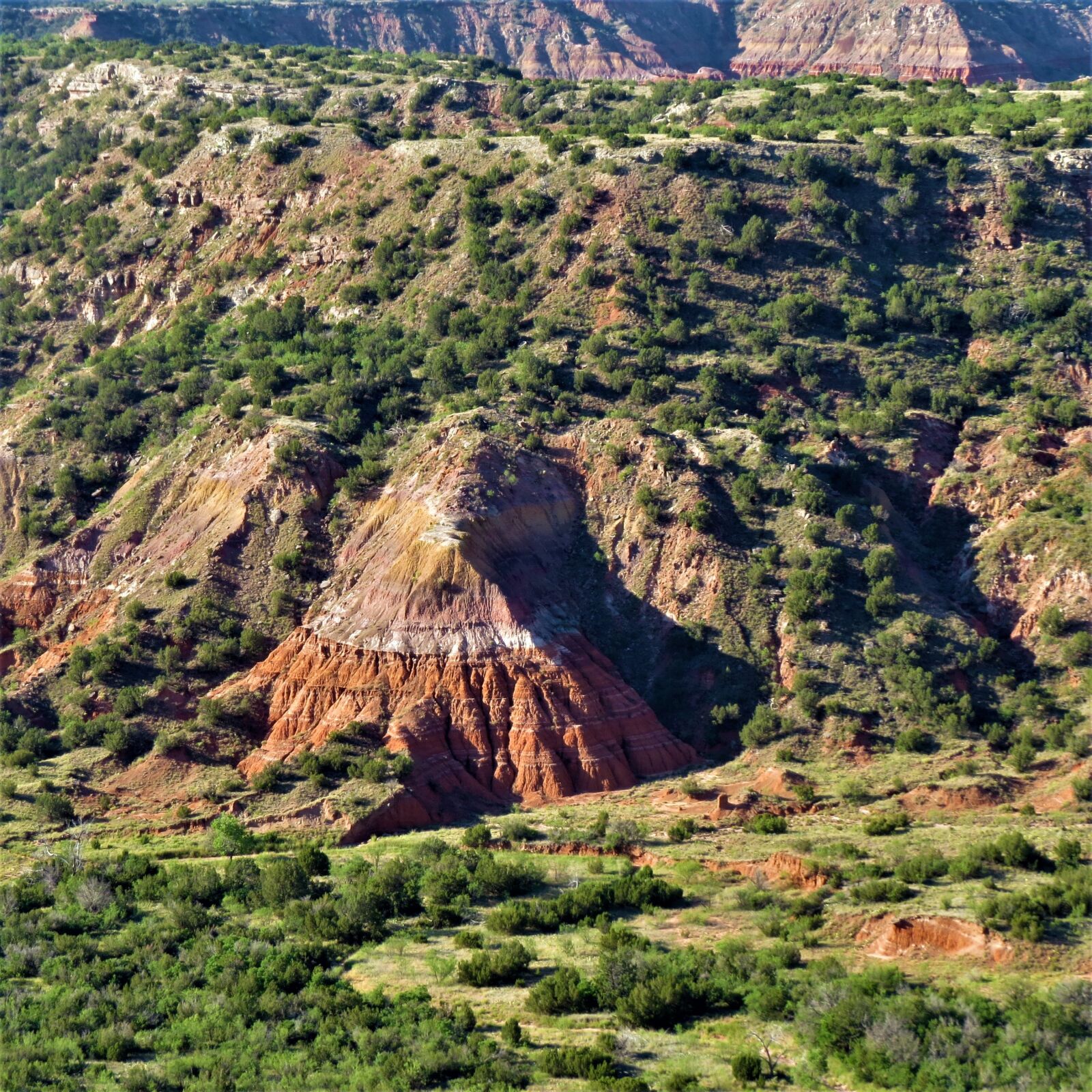 Canon PowerShot SX50 HS sample photo. Sunrise, palo duro canyon photography