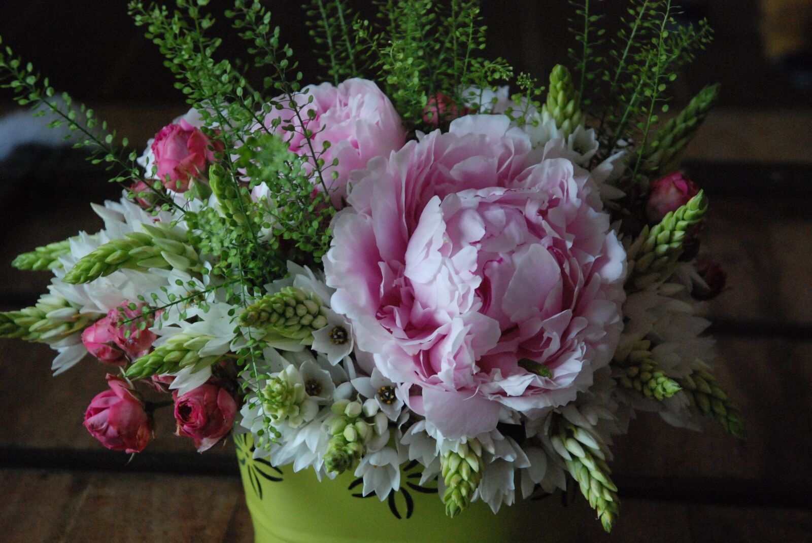 Nikon D80 sample photo. Flowers, camelia, composition photography