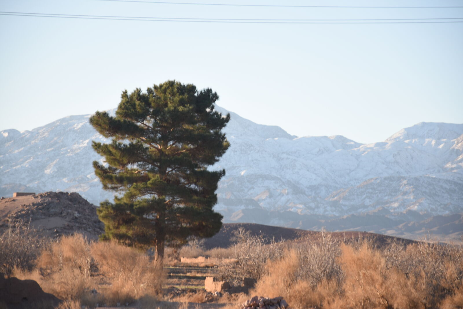 Nikon D5600 sample photo
