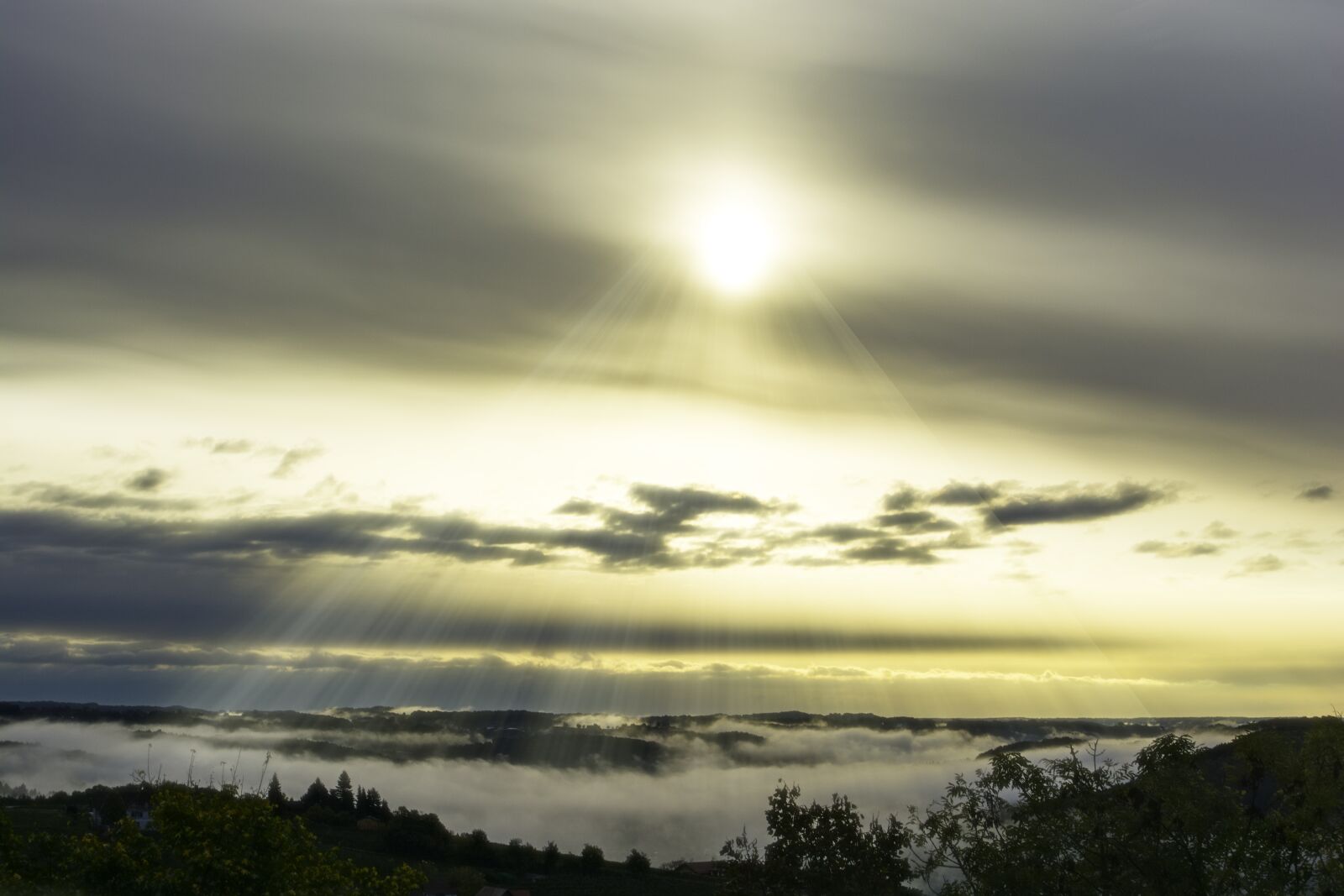 Nikon D5200 sample photo. Morning, sun, morgenstimmung photography
