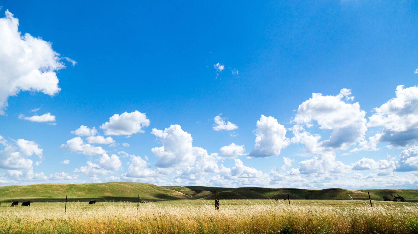 Canon EOS 6D + Canon EF 24-105mm F4L IS USM sample photo. Agriculture, clouds, cloudy photography
