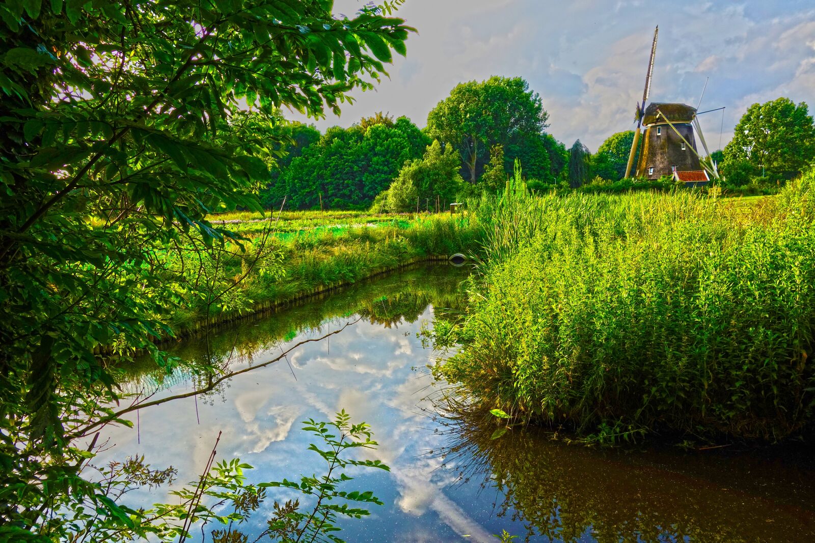 Sony Cyber-shot DSC-RX100 sample photo. Mill, dutch mill, riekermolen photography