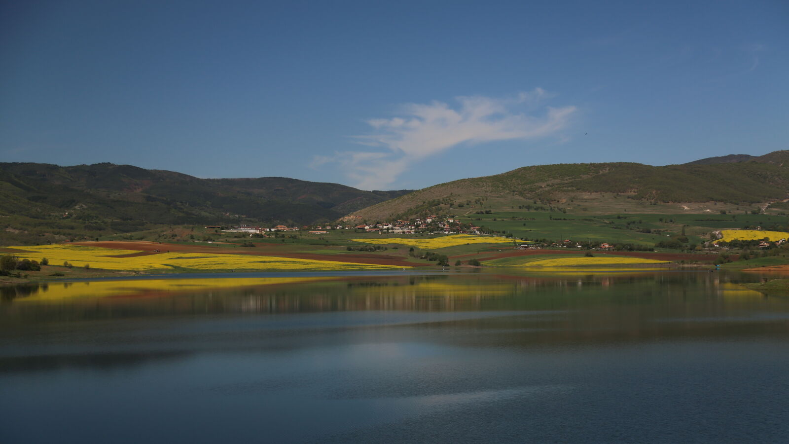 Canon EF 24-105mm F4L IS USM sample photo. Bulgaria, calm, colors, flowers photography