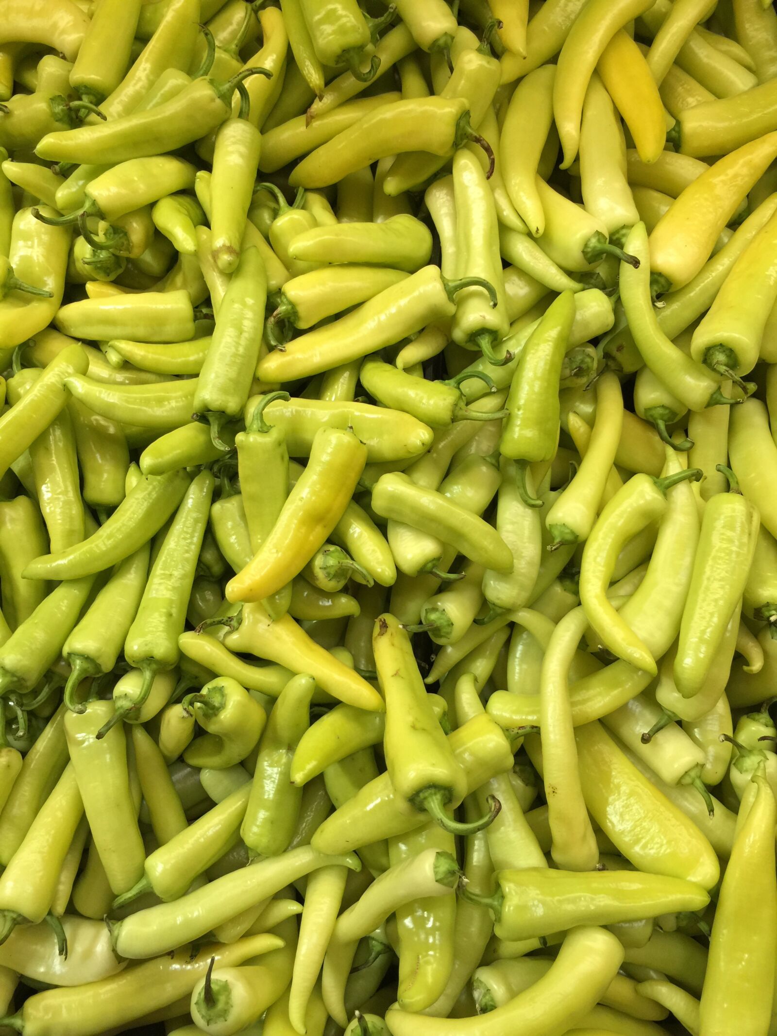 iPhone 6 Plus back camera 4.15mm f/2.2 sample photo. Vegetables, peppers, chilis photography