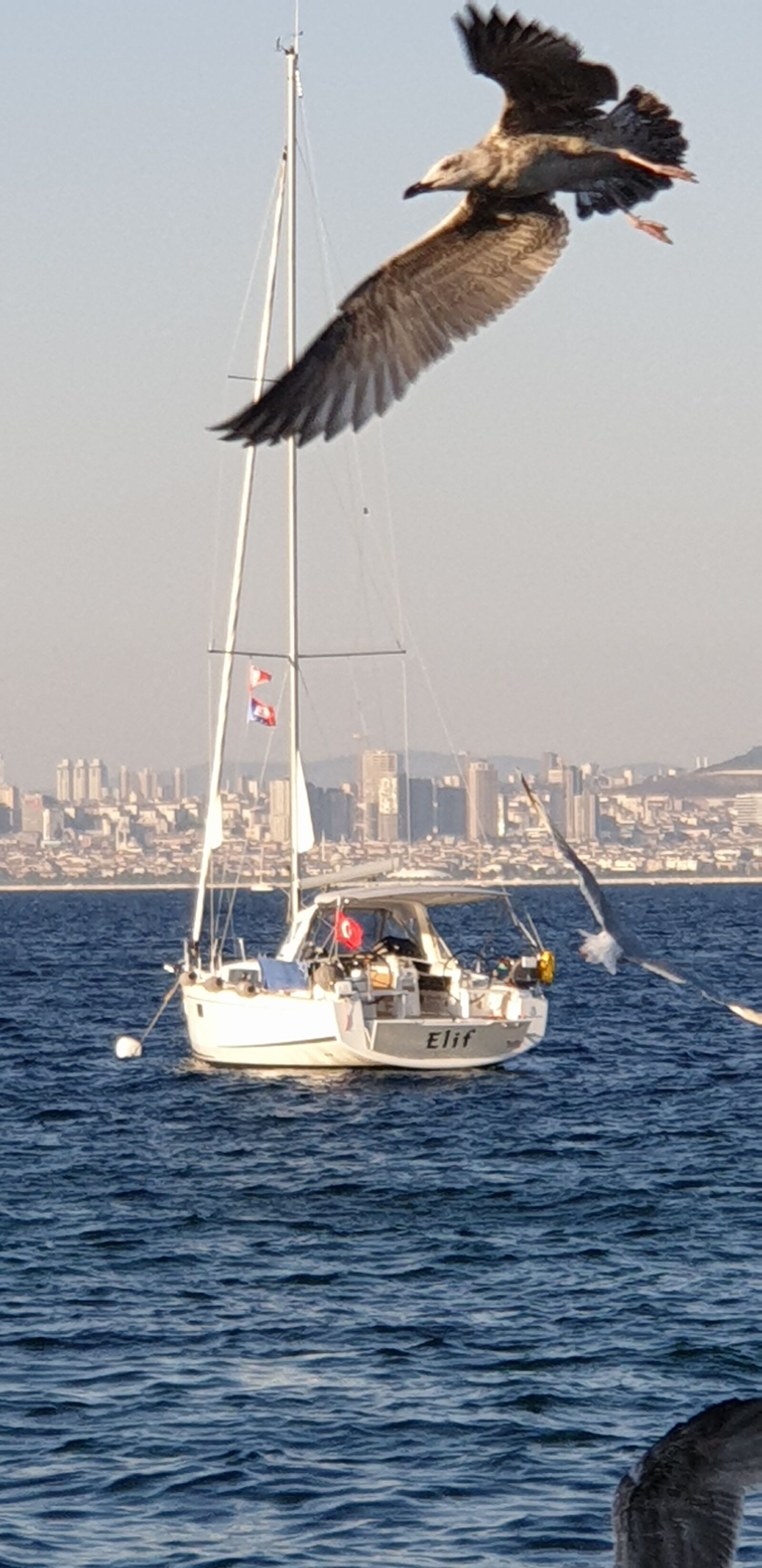 Samsung SM-N960F sample photo. Deniz, yelkenli, sail photography