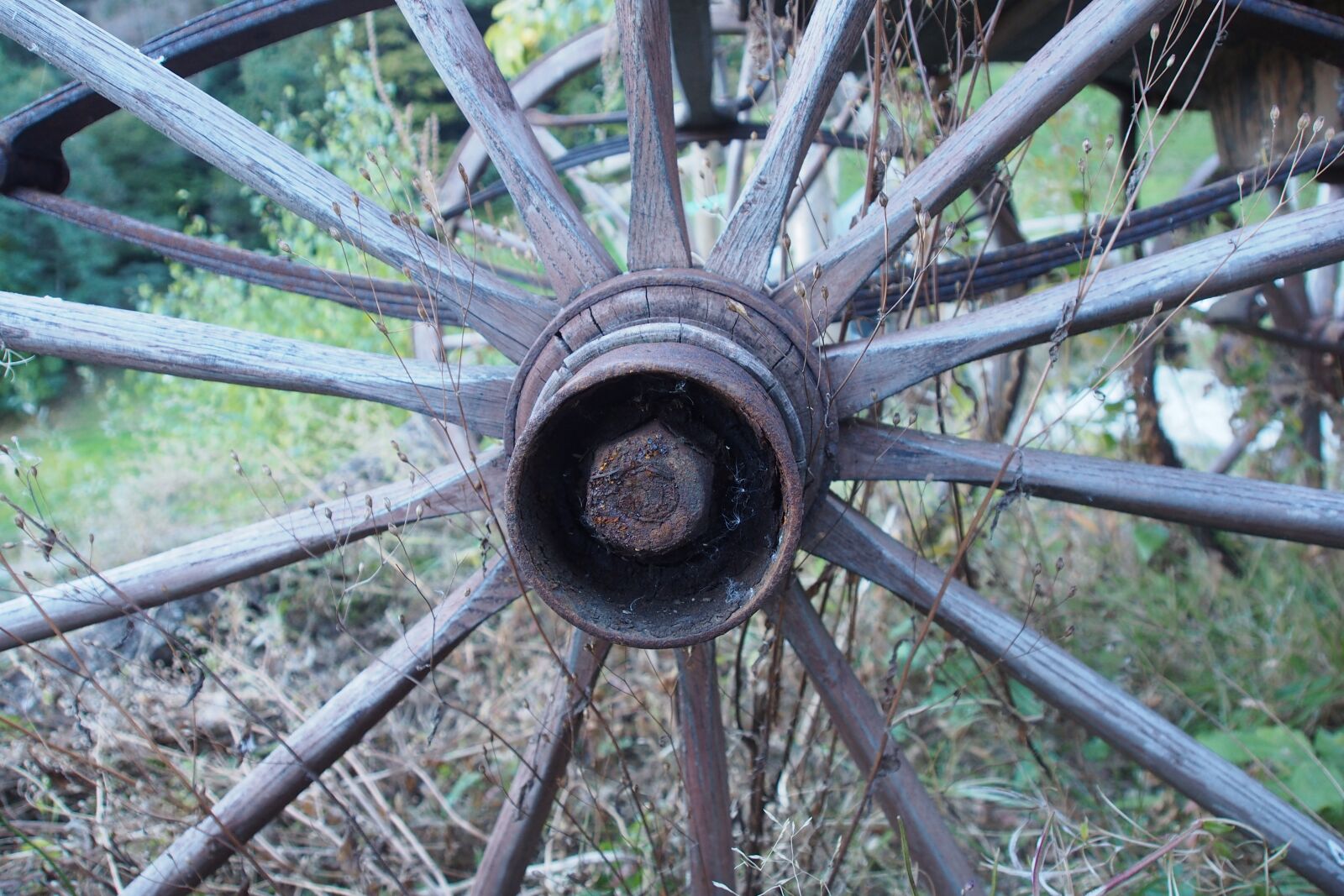 Olympus OM-D E-M5 sample photo. Wheel, coach, vintage photography
