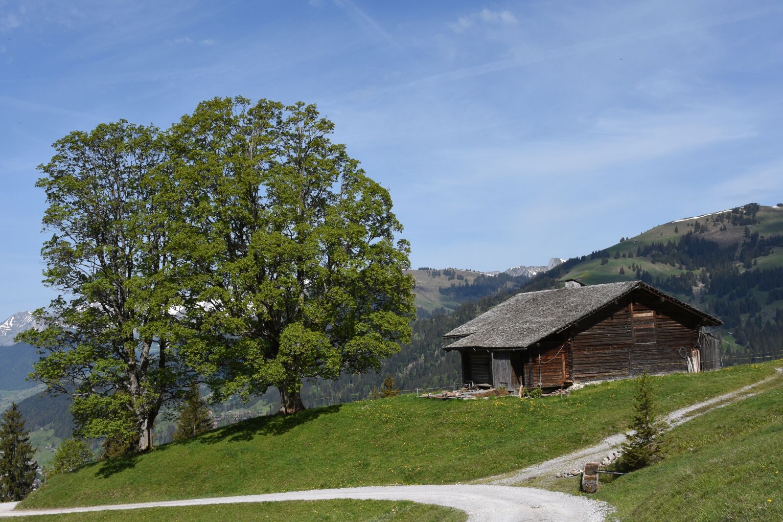 Nikon D7200 sample photo. Alp, hiking, mountains photography