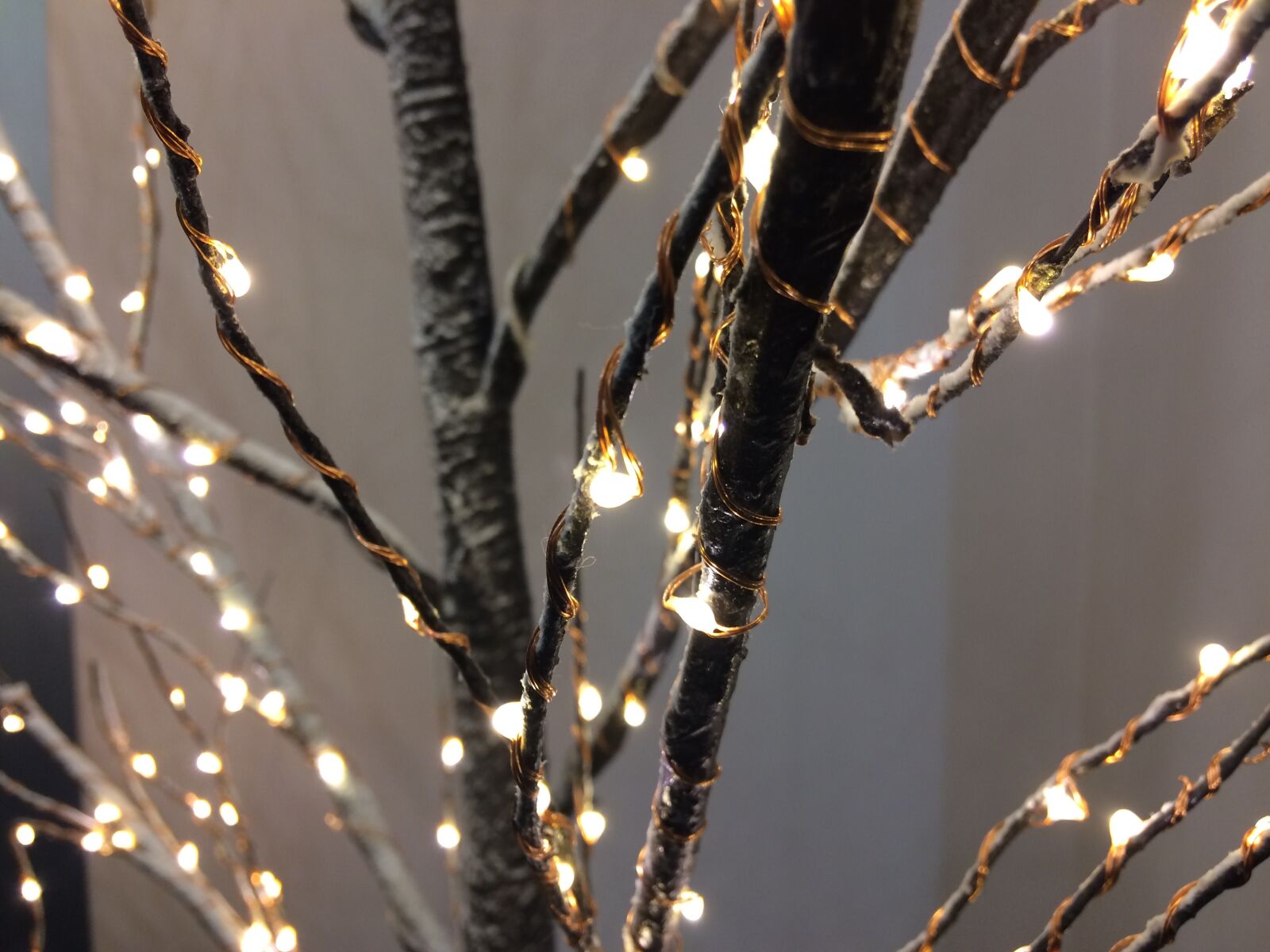 iPhone 5s back camera 4.15mm f/2.2 sample photo. Christmas, greetings, feast photography
