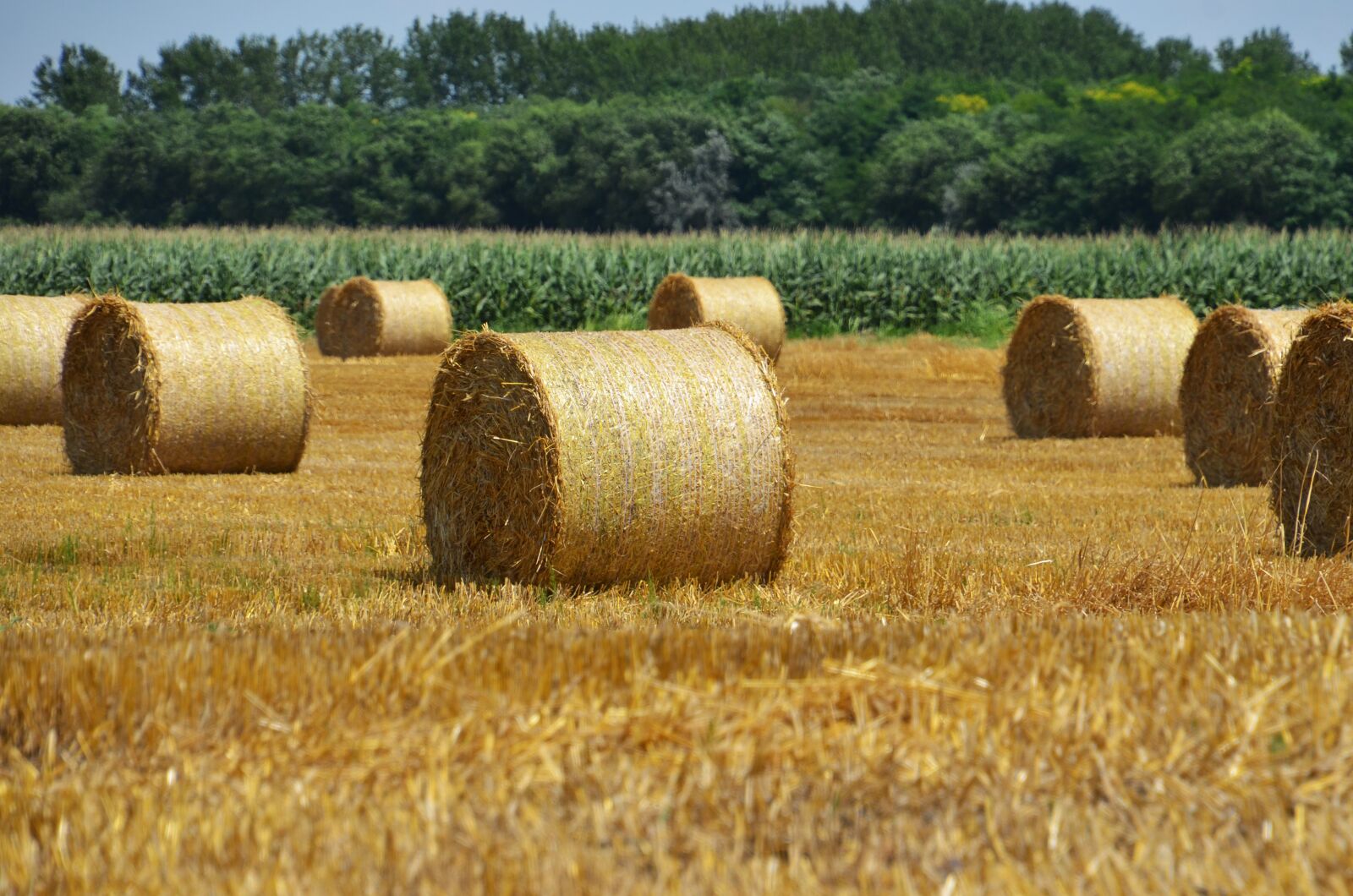 Nikon D7000 sample photo. Straw, straw bale, agriculture photography