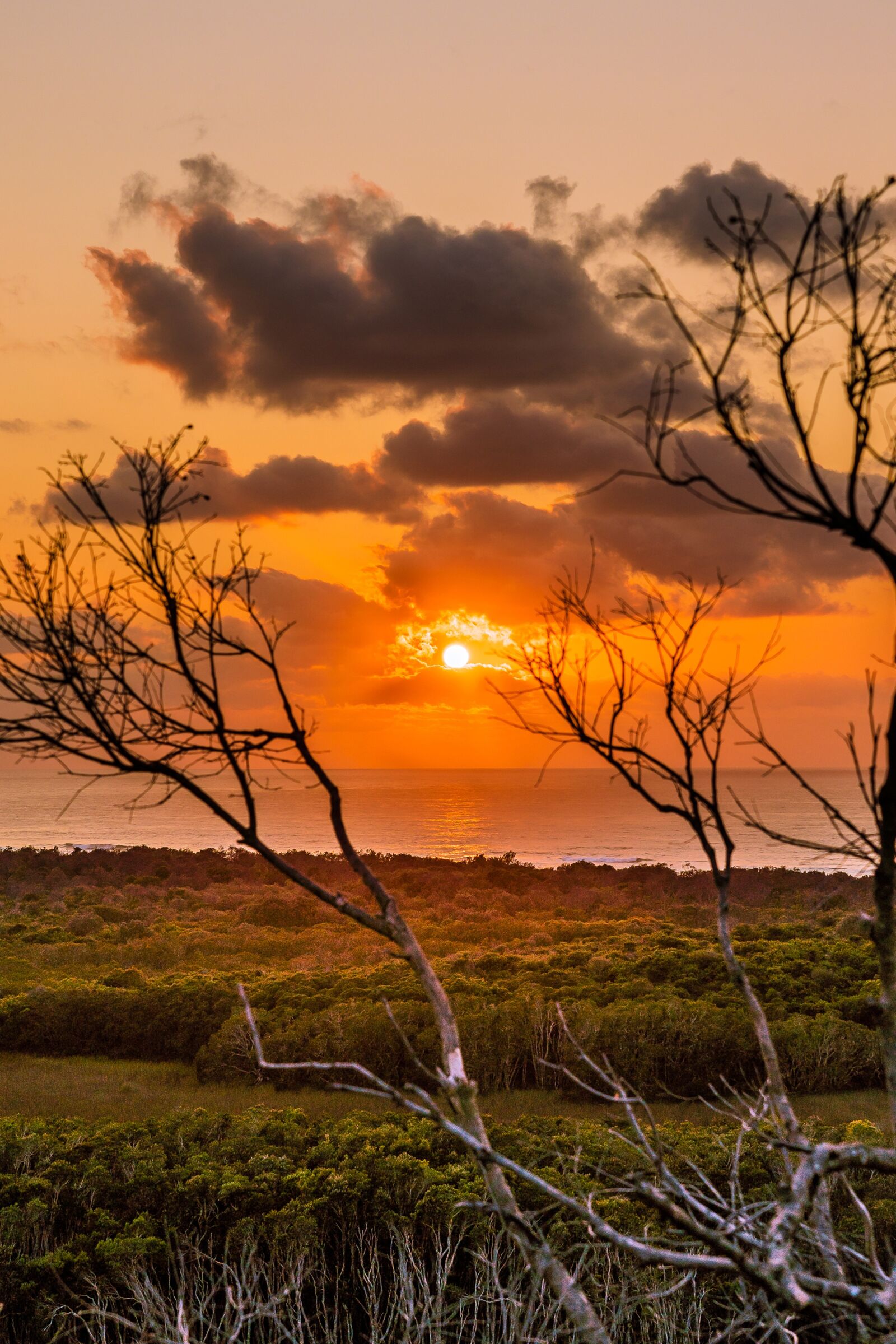 Sony a7R III sample photo. Sunrise, landscape, nature photography