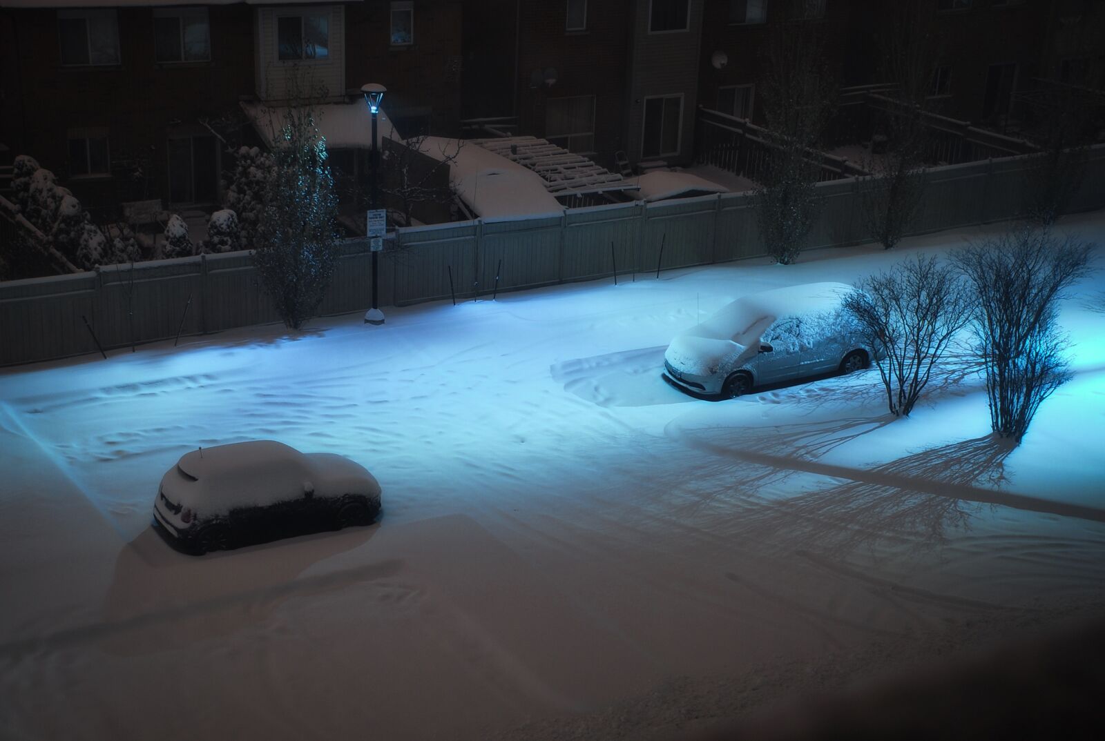 Nikon D80 sample photo. Cars, snow, parking lot photography