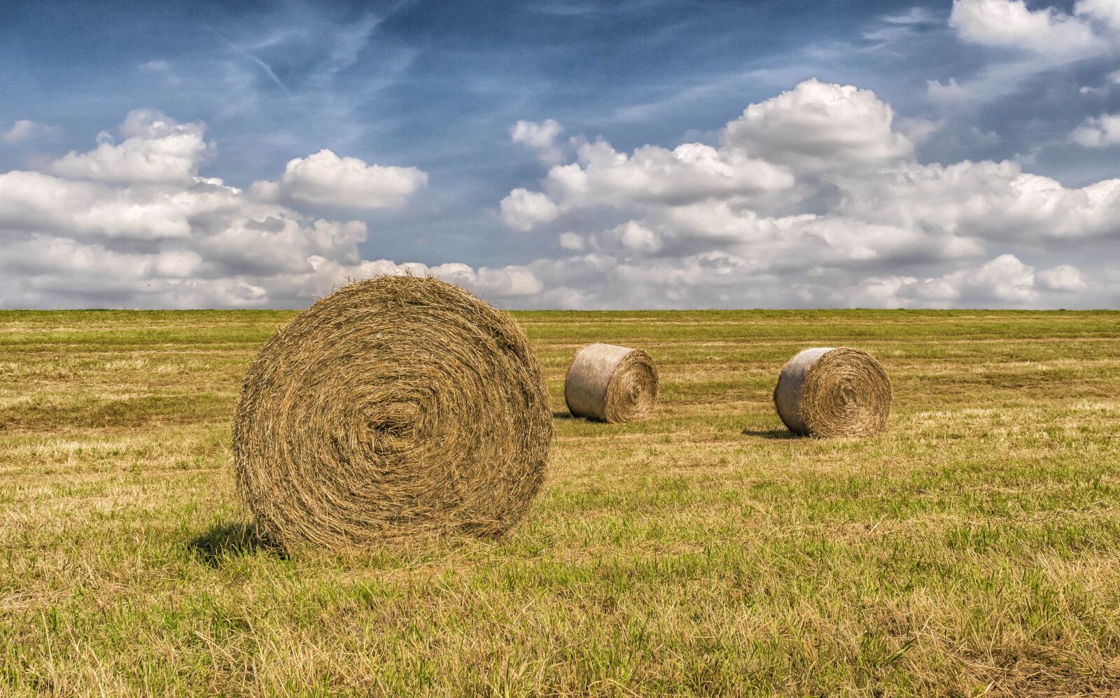 Nikon D3300 sample photo. Summer, harvest, straw photography