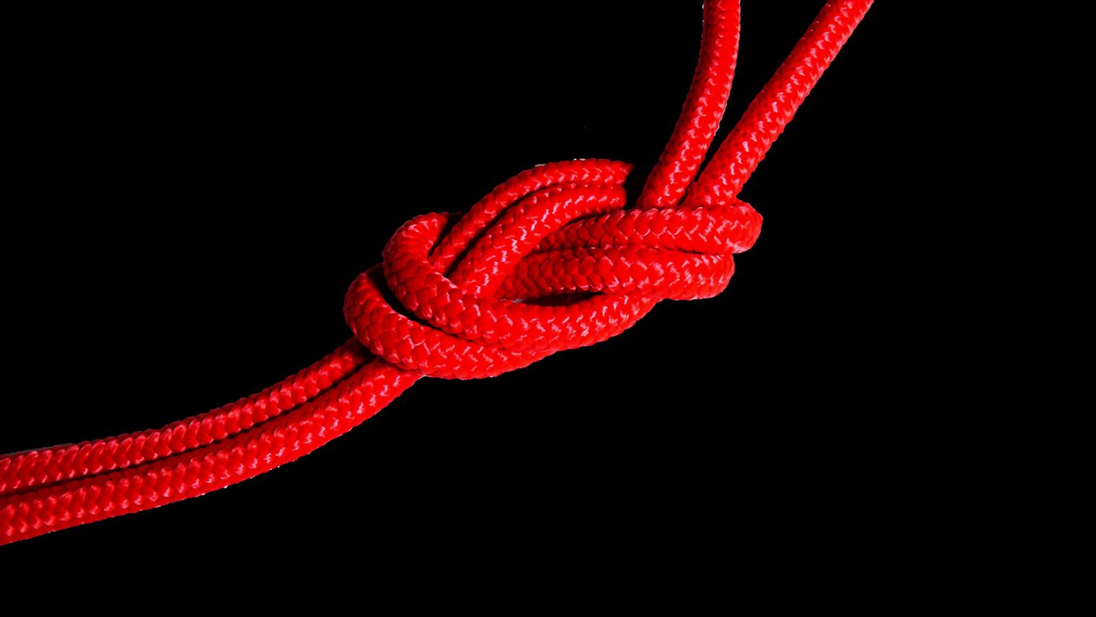 Leica V-LUX 1 sample photo. Knot, red knot, red photography