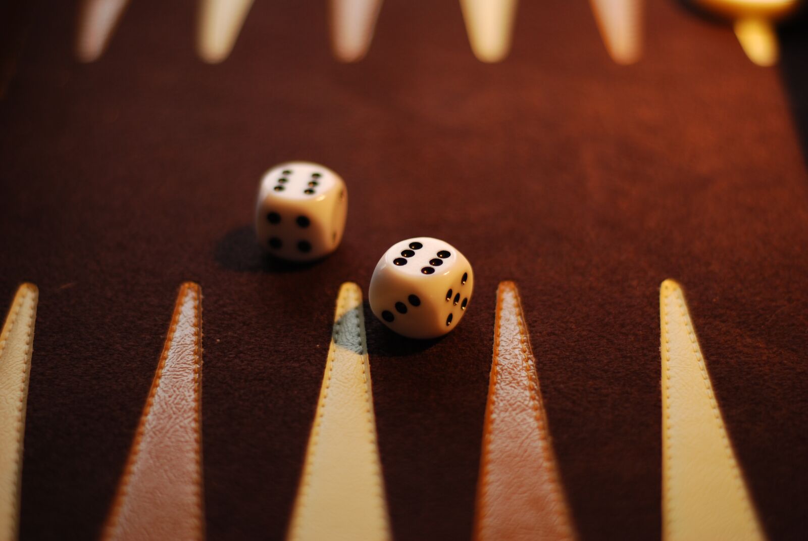 Nikon D60 sample photo. Backgammon board, dice, sixes photography