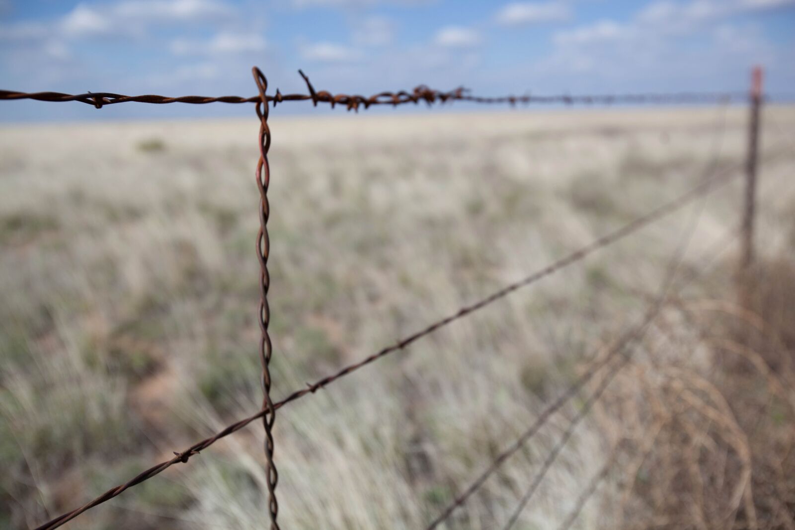 Canon EOS 5D Mark II sample photo. Fence, desert, barbed wire photography