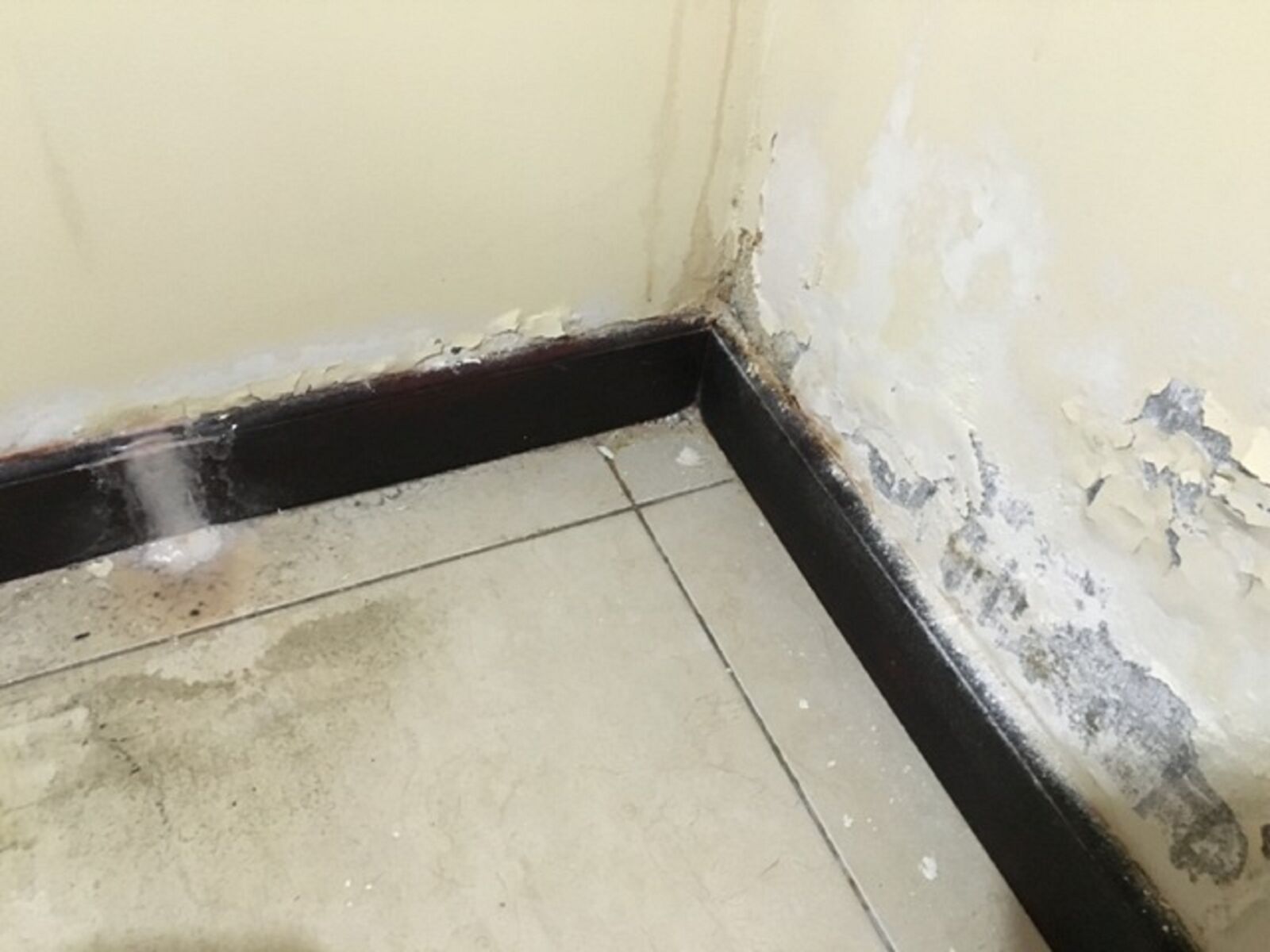 Apple iPhone 6s sample photo. Broken, pipe, ceiling, leak photography