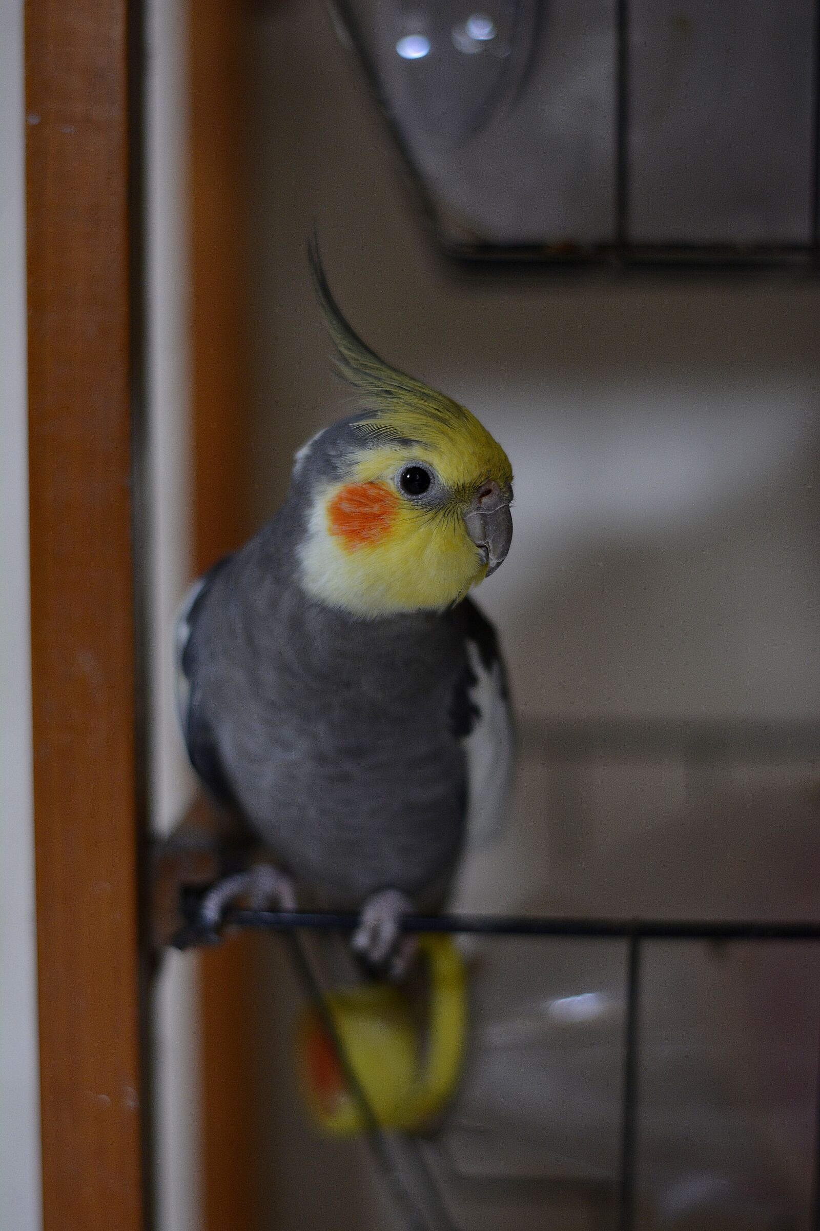 Nikon D5200 sample photo