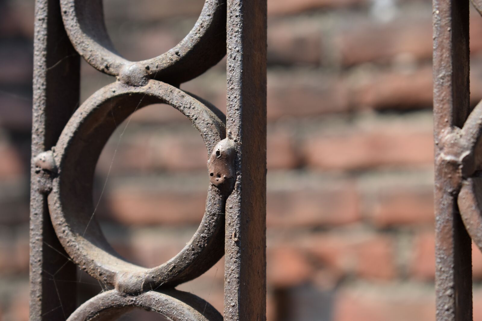 Nikon D3400 sample photo. Iron, rusty, rust photography