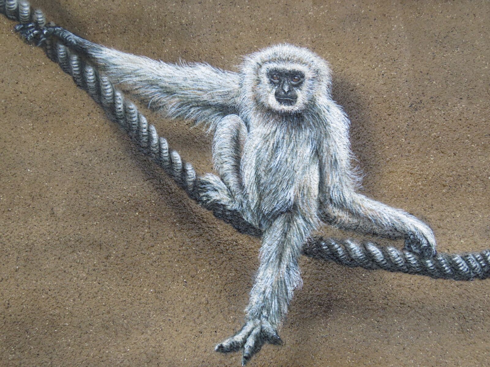Canon PowerShot SX60 HS sample photo. Monkey, wall art, wall photography