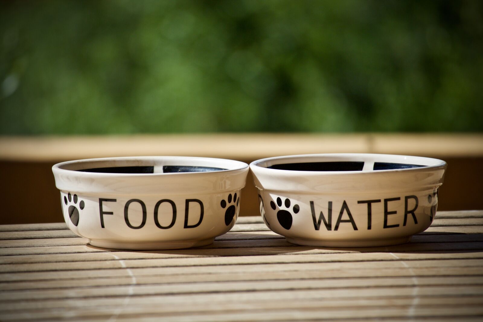 Canon EOS M sample photo. Bowls, containers, dogs photography
