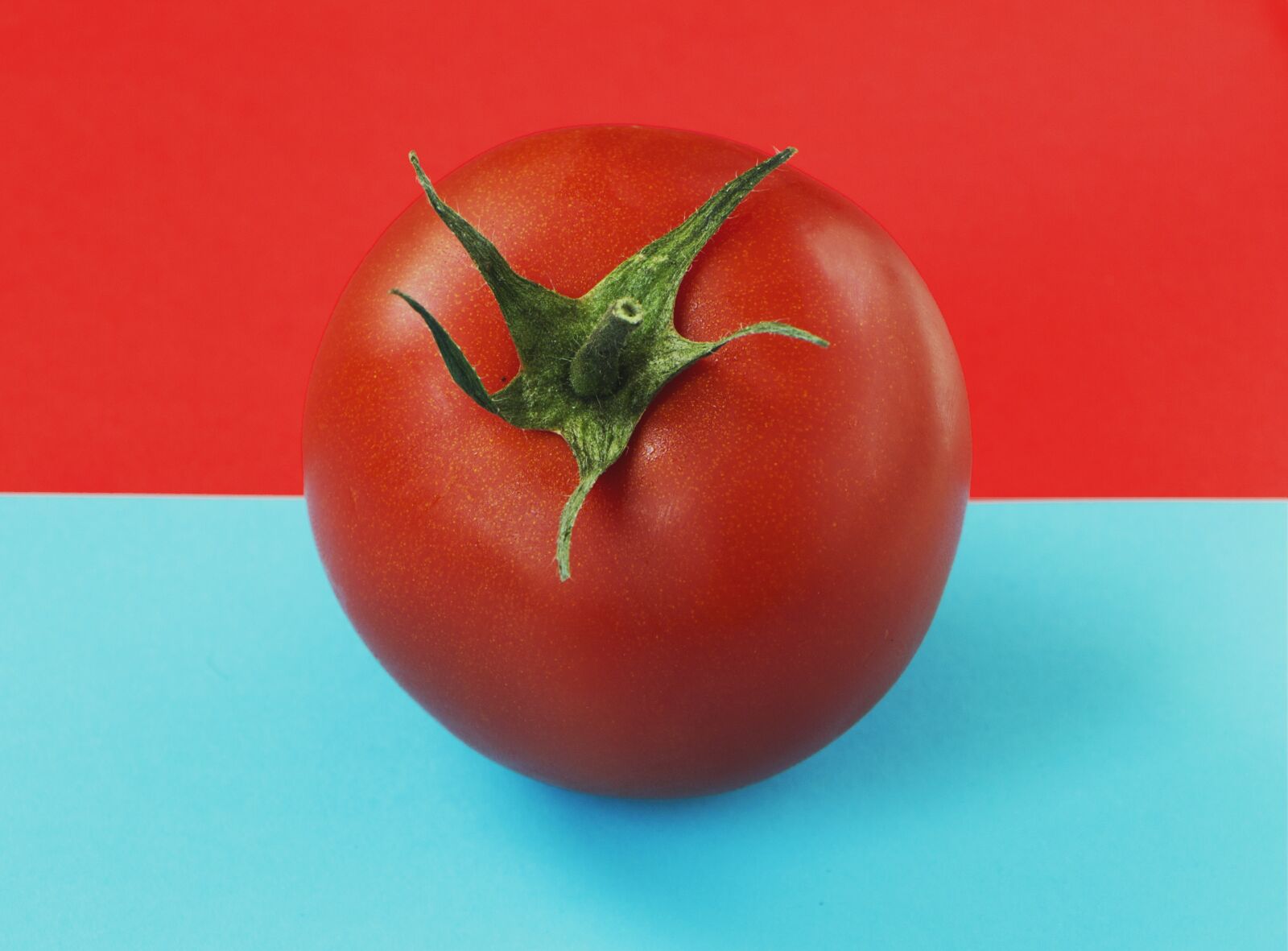 Canon EOS 60D sample photo. Tomatos, minimalist, vegetables photography